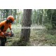 Pilarka spalinowa Husqvarna 550 XP® Mark II