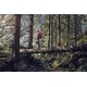 Pilarka spalinowa Husqvarna 572XP®