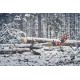 Husqvarna 560&nbsp;XP® G Mark II